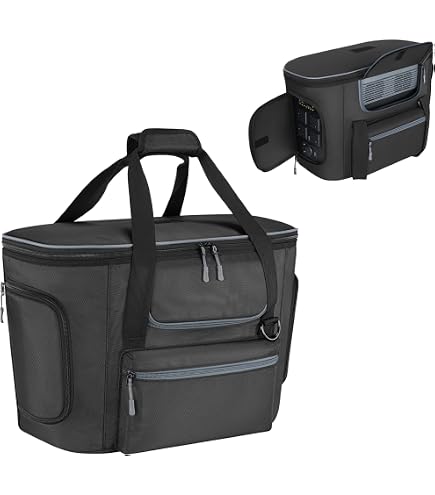 Amazon.com: EF ECOFLOW Delta 3 Classic/DELTA 3 Plus/DELTA 3